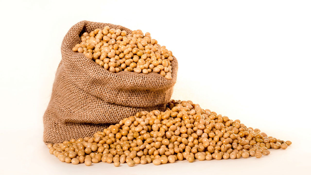 Soybeans